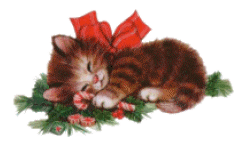 kitty.gif