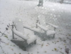 October Snow-7.jpg