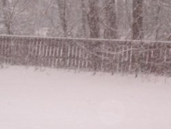 2010_1210Image0005.JPG