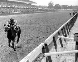 Secretariat The Photo.jpg