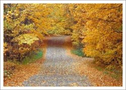 autumn-drive Washburn Cty..jpg