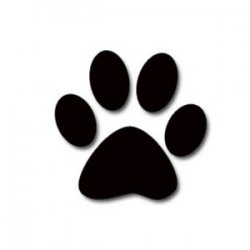 paw_print_88103531.jpg