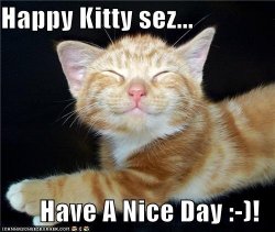 Happy Kitty.jpg
