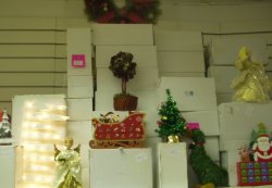 Copy of P1011051.JPG