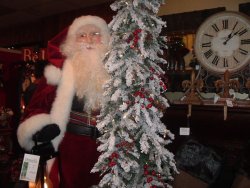 2011_1105Image0014.JPG