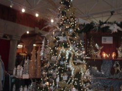 2011_1105Image0016.JPG