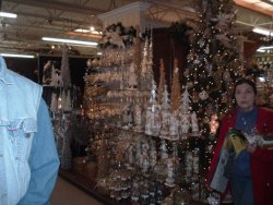 2011_1105Image0008.JPG
