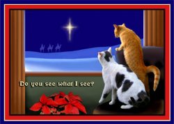 CARD%20CHRISTMAS%20ANIMALS%201.jpg