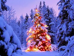 free-christmas-clipart-and-christmas-tree-photos.jpg