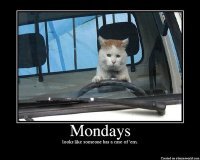 Mondays.jpg