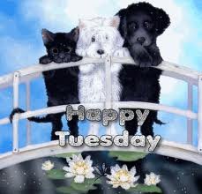 Tuesday Animals.jpg