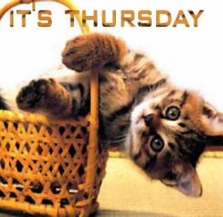 thursday_cat_basket.jpg