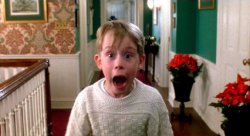 home-alone 1.jpg