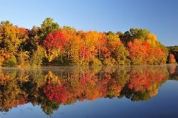 fall-foliage-minnesota_jpg.jpg