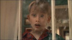 home alone.jpg
