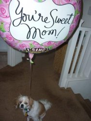 Har on Mother's Day.jpg