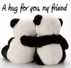 a-hug-for-you-my-friend.jpg