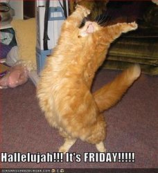 Friday!.jpg