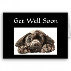 custom_get_well_soon_sad_labrador_dog_blues_card-p137807024701977766b2ico_400.jpg