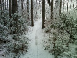 first-snow-of-the-season.jpg