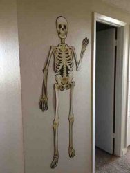 ImageUploadedByTapatalk1347558268.109753.jpg