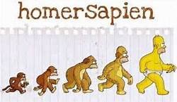 Homer sapien.jpg