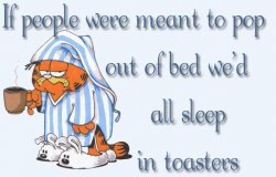 Garfielg 2.jpg