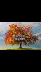 ImageUploadedByTapatalk1375201806.089994.jpg