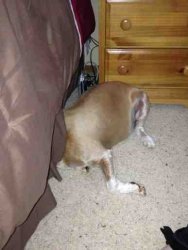 ImageUploadedByTapatalk1375560487.837632.jpg