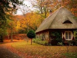 Autumn Cottage2.jpg