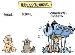 Southerners in winter.jpg