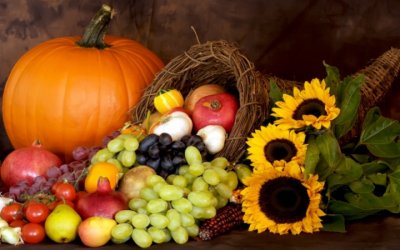 thumb_720_450_Wonder-46-Cornucopia-Static-Image.jpg