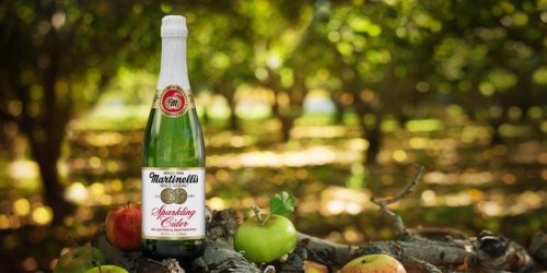 Sparkling-Cider-750-Hero_2560x1280-992x0-c-default.jpg Sparkling-Cider-750-Hero_2560x1280-992x0-c-default.jpg