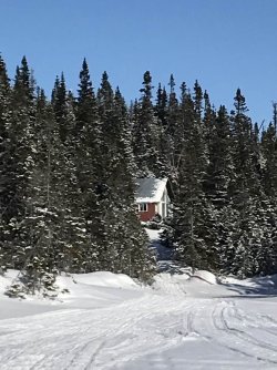 nl cabin.jpg