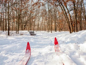 ski shot.jpg