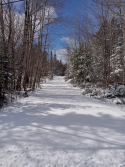 alan road.jpg