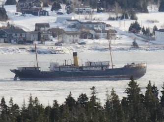 Harbour Grace.jpg