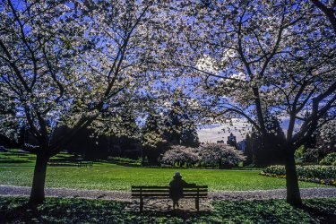 vancouver-spring.jpg