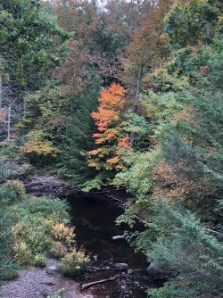 Fall 1.jpg Fall 1.jpg