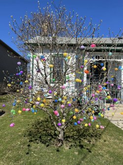 Easter tree.jpg