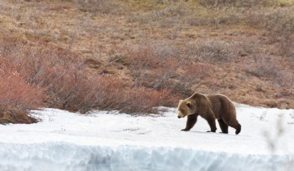 21028074.jpg 21028074.jpg