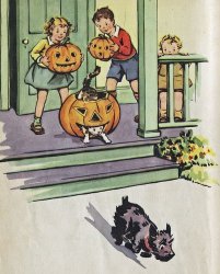 image.jpg