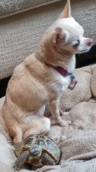 1265648_1422988034 - Copy.jpg