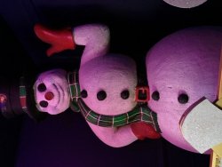 IMG_0046 (480x640).jpg