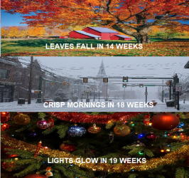 FALL COUNTDOWN MEME.png FALL COUNTDOWN MEME.png