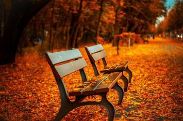 benches-560435_640.jpg