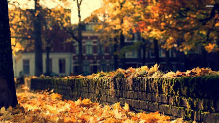 1690847433522.png