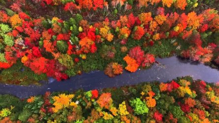 fall colour, NS.jpg