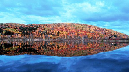 lake in fall.jpg