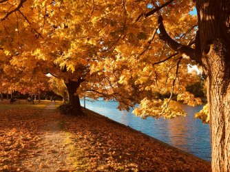 Fall in Manitoba.jpg